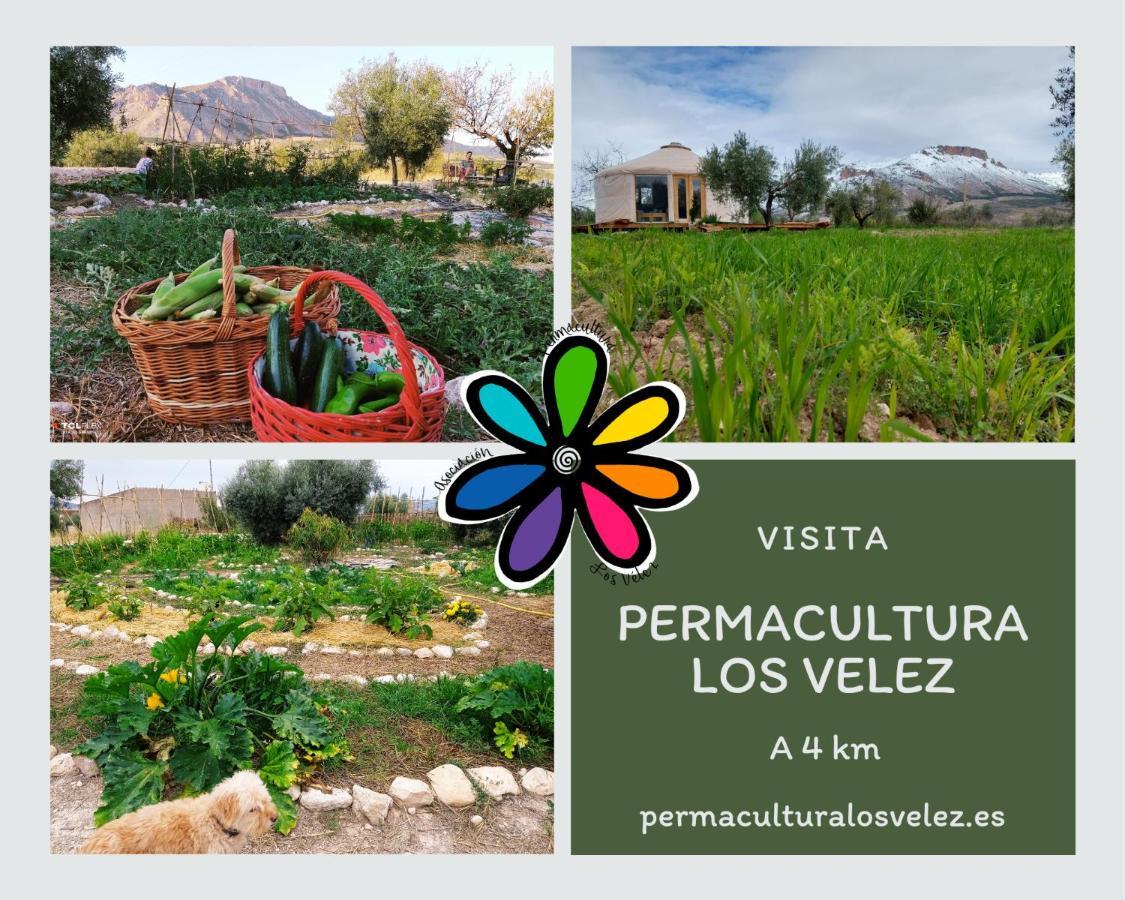 La Casa Viva. Alojamiento Responsable Y Sostenible. Vélez Blanco Zewnętrze zdjęcie